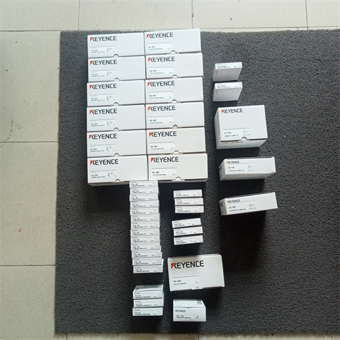 光纤放大器FS-V31 (2)