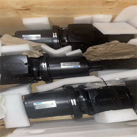 螺杆泵总成KTS 25-38-T-G 4kW (4)
