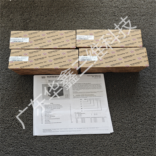 ROEMHELD油缸 BS4253RB075N1 (1)